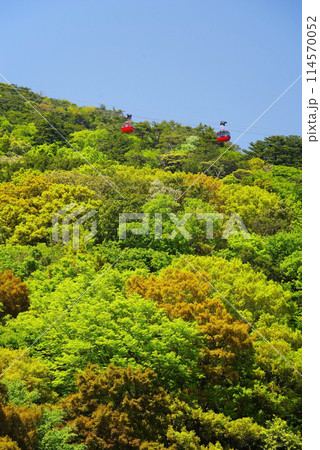 新緑の山肌を行く御在所ロープウエイ 新緑の山肌を行く御在所ロープウエイ 114570052