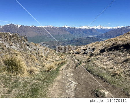 ニュージーランド南島・ワナカにあるロイズピークトラック 114570112