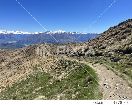 ニュージーランド南島・ワナカにあるロイズピークトラック 114570168