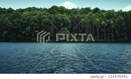 Tranquil Lake Amidst Lush Green Forest 114570342