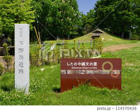 下野谷遺跡 東京都 下野谷遺跡 東京都 114570438