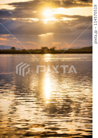 サンセットびわ湖 114570519