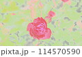 赤いバラ 114570590