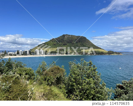 ニュージーランド北島・マウントマウンガヌイ ニュージーランド北島・マウントマウンガヌイ 114570635