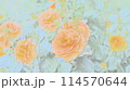 華やかなオレンジ色の薔薇 114570644
