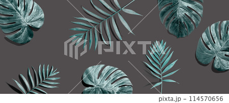 Tropical palm leaves from above Tropical palm leaves from above 114570656
