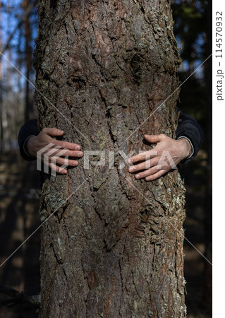 A man hugs a thick tree trunk in the forest as if protecting it. An activist man hugs a tree to protect the forest from deforestation. The concept of saving the forest from deforestation. A man hugs a thick tree trunk in the forest as if protecting it. An activist man hugs a tree to protect the forest from deforestation. The concept of saving the forest from deforestation. 114570932