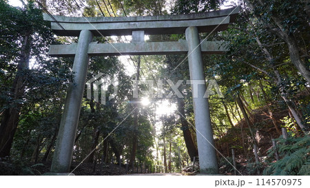 京都の神社 114570975