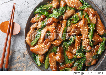 Asian stir-fried pork with romaine lettuce, sesame and garlic in a sweet spicy sauce close-up in a plate. Horizontal top view 114571041