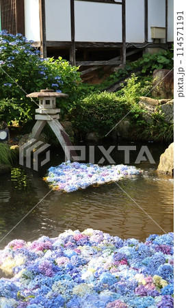 池に浮かぶ紫陽花　雨引観音　雨引山 楽法寺 114571191