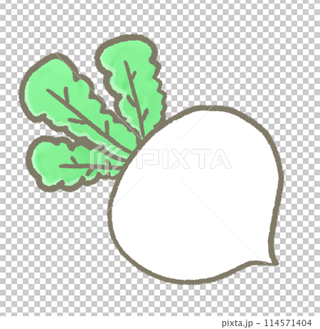 R: More fairy tale vegetables: White turnip ④ 114571404