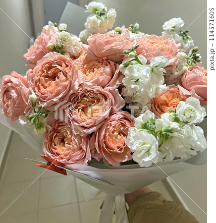 Background of colorful beautiful roses Background of colorful beautiful roses 114571605