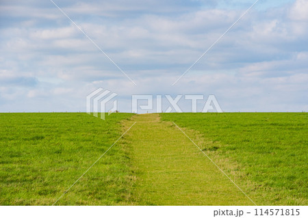ロンドンの郊外にある世界遺産のストーンヘンジの風景 114571815