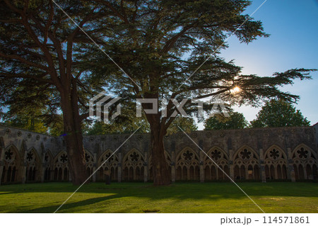 イギリスのサルスベリーの街の風景 114571861