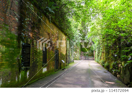 東京湾にある無人島の猿島 114572094