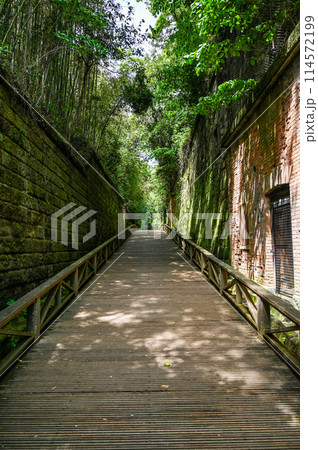 東京湾に浮かぶ無人島の猿島 114572199