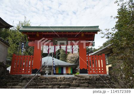 阿彌陀寺(熊野大鳥居門)　【和歌山県那智勝浦町】 114572389