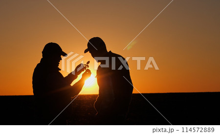 Two agronomists study seedlings on the field, look at the plants in the sun Two agronomists study seedlings on the field, look at the plants in the sun 114572889