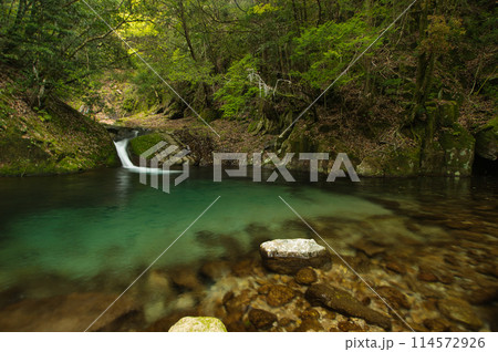 桐原の滝(一の滝)　【三重県紀宝町】 114572926