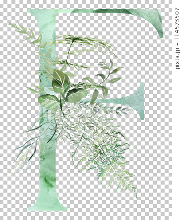 Green letter F with Watercolor whimsical tender leaves isolated illustration, wedding element Green letter F with Watercolor whimsical tender leaves isolated illustration, wedding element 114573507