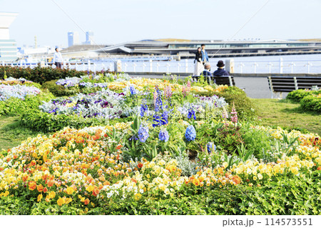神奈川県横浜市山下公園のチューリップなど（春） 114573551