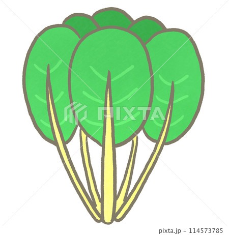 R:もっとメルヘンな野菜 スイスチャード① R:もっとメルヘンな野菜 スイスチャード① 114573785