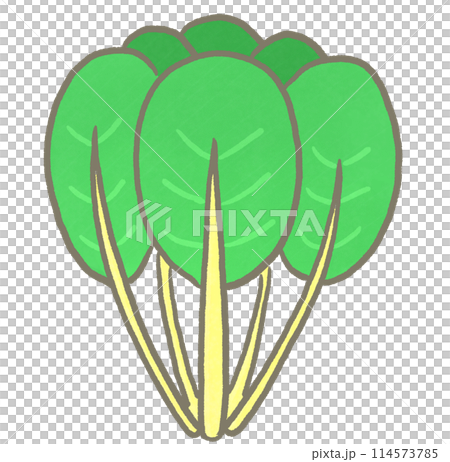 R:もっとメルヘンな野菜 スイスチャード① R:もっとメルヘンな野菜 スイスチャード① 114573785