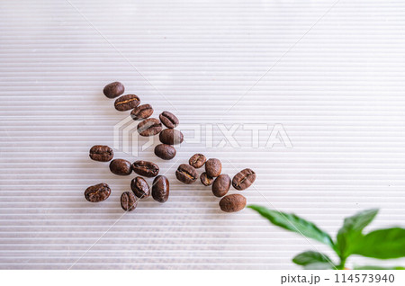 珈琲豆 珈琲豆 114573940