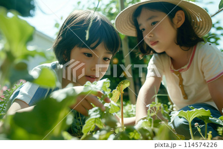 Asian Children working and taking care of plants in the backyard garden, playing and having fun in the sunlight 114574226