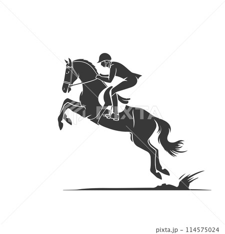 Competitions equestrian show jumping,, vector Competitions equestrian show jumping,, vector 114575024