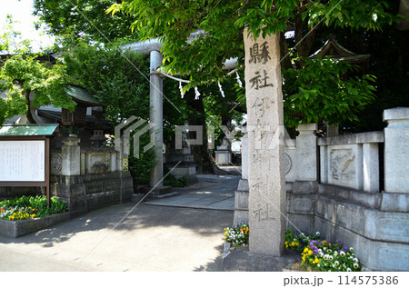 群馬県伊勢崎市のパワースポット 伊勢崎神社 群馬県伊勢崎市のパワースポット 伊勢崎神社 114575386