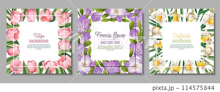 Set of banner templates with spring flowers. Postcard, poster with tulips, daffodils, freesia. Vector illustration of delicate flowers in cartoon style for card, invitation, background, etc. Set of banner templates with spring flowers. Postcard, poster with tulips, daffodils, freesia. Vector illustration of delicate flowers in cartoon style for card, invitation, background, etc. 114575844