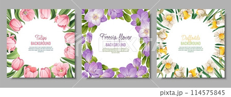 Set of banner templates with spring flowers. Postcard, poster with tulips, daffodils, freesia. Vector illustration of delicate flowers in cartoon style for card, invitation, background, etc. 114575845