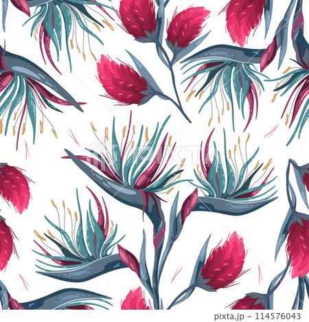 Tropical pattern Strelitzia reginae on white 114576043