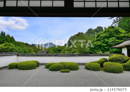 春の京都市北区正伝寺 獅子の児渡しの庭 114576073