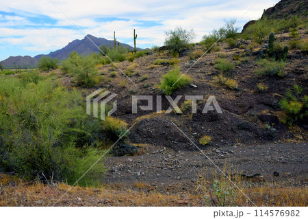 Sonora Desert Arizona Picacho Peak State Park 114576982
