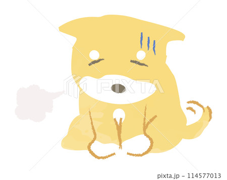 お座りをして落ち込む柴犬　主線なし 114577013