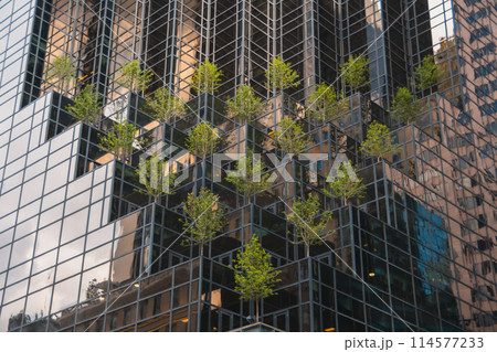 ビルの窓に映る木々 114577233