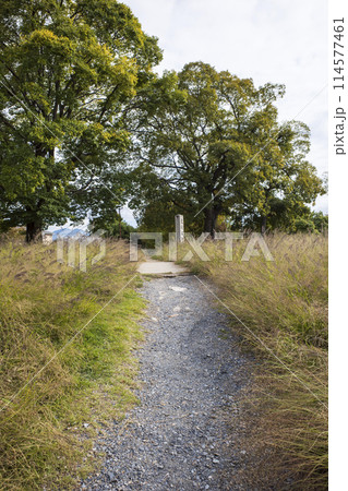 史蹟西寺跡 114577461