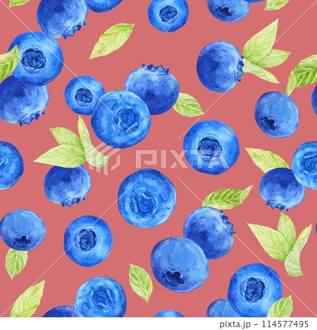 Blueberry watercolor pattern. Seamless pattern of ripe berries and intertwined leaves on a pink background. Botanical hand drawn illustration of wild bilberry for fabric, textile, wallpaper, wrapping. Blueberry watercolor pattern. Seamless pattern of ripe berries and intertwined leaves on a pink background. Botanical hand drawn illustration of wild bilberry for fabric, textile, wallpaper, wrapping. 114577495