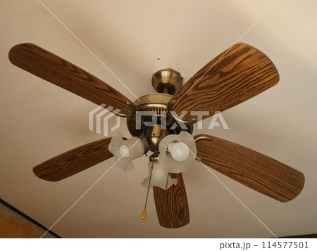 vintage fan and lamp hang from the room's ceiling vintage fan and lamp hang from the room's ceiling 114577501