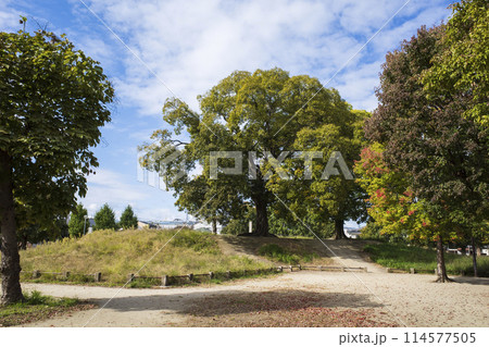 史蹟西寺阯 史蹟西寺阯 114577505