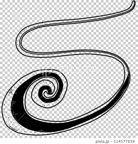 Whipworm created by hand drawing 114577839