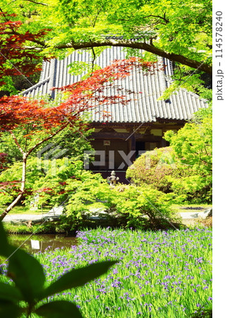 長岳寺の本堂と放生池のカキツバタ 長岳寺の本堂と放生池のカキツバタ 114578240