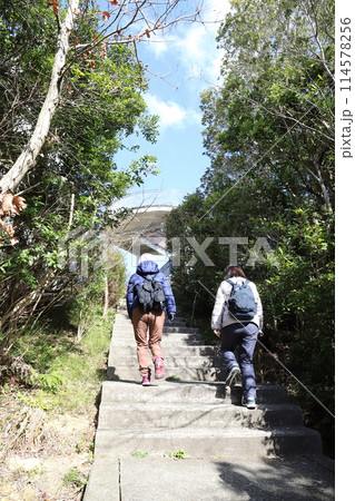 鳴門山展望台(兵庫県 徳島県 鳴門海峡 大鳴門橋) 鳴門山展望台(兵庫県 徳島県 鳴門海峡 大鳴門橋) 114578256