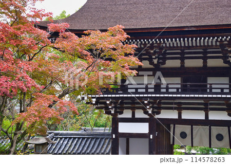 京都　松尾大社　美しい紅葉と楼門（京都府京都市西京区） 114578263
