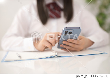 スマホで検索しながら勉強する女子高生 スマホで検索しながら勉強する女子高生 114578264