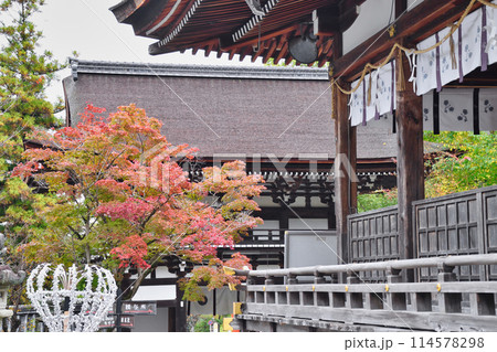 京都 松尾大社 美しい紅葉と楼門と拝殿(京都府京都市西京区) 京都 松尾大社 美しい紅葉と楼門と拝殿(京都府京都市西京区) 114578298