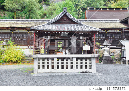 京都　松尾大社　相生の松（京都府京都市西京区） 114578371