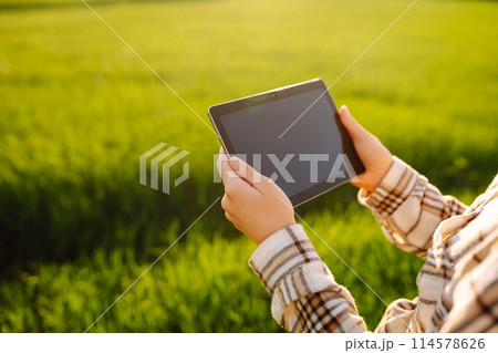 A woman farmer with modern tablet evaluates the shoots with her hand. Farm work with digital tablet. A woman farmer with modern tablet evaluates the shoots with her hand. Farm work with digital tablet. 114578626